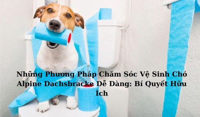 Những Phương Pháp Chăm Sóc Vệ Sinh Chó Alpine Dachsbracke Dễ Dàng: Bí Quyết Hữu Ích