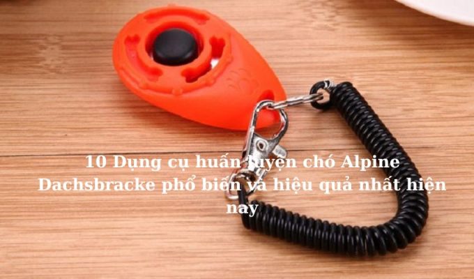 10 Dụng cụ huấn luyện chó Alpine Dachsbracke phổ biến và hiệu quả nhất hiện nay