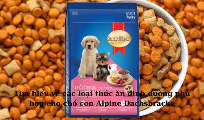 Tìm hiểu về các loại thức ăn dinh dưỡng phù hợp cho chó con Alpine Dachsbracke